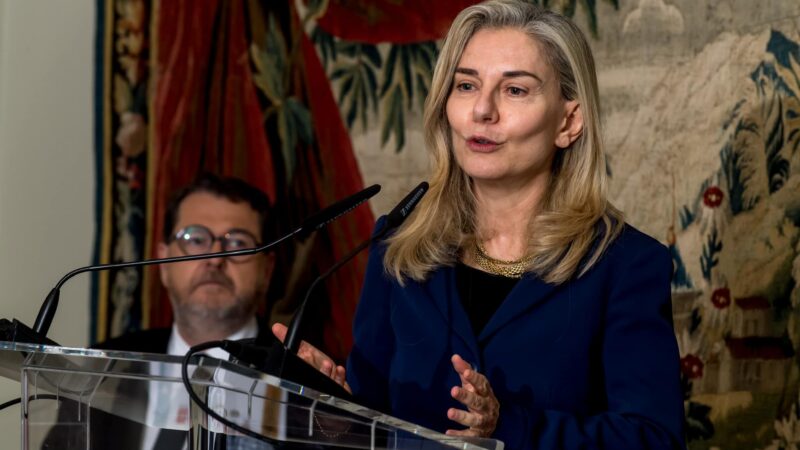 Elena Basile – Rassegna Stampa – Dicembre 2025
