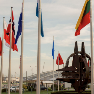 Elena Basile: “I veri europeisti impauriti da una NATO totalitaria”