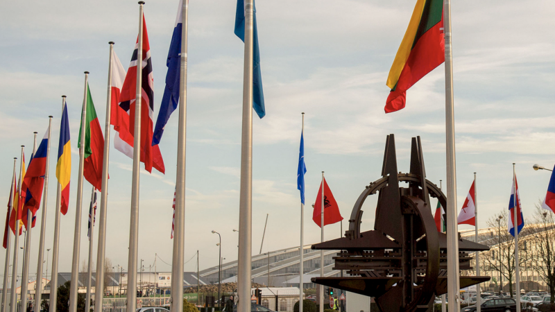 Elena Basile: “I veri europeisti impauriti da una NATO totalitaria”